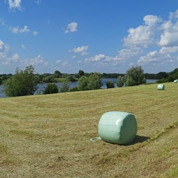 IJsselvallei tussen Deventer en Bronckhorst